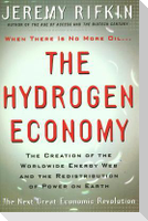 Hydrogen Economy: The Creation of the Worldwide Energy Web and the Redistribution of Power on Earth
