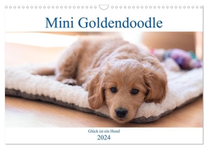 Schulz, Stephan. Mini Goldendoodle - Glück ist ein Hund (Wandkalender 2024 DIN A3 quer), CALVENDO Monatskalender - Mini Goldendoodles sind eine Kreuzung aus Golden Retriever und Zwergpudel, zwei der liebevollsten Hunderassen.. Calvendo, 2023.