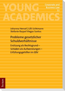 Probleme gesetzlicher Schuldverhältnisse