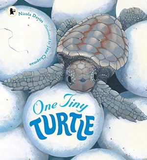 Davies, Nicola. One Tiny Turtle. Walker Books - IWUK, 2015.