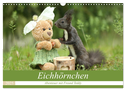 Eichhörnchen - Abenteuer mit Freund Teddy (Wandkalender 2025 DIN A3 quer), CALVENDO Monatskalender