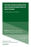 Beyond Microfoundations and Macrofoundations of Institutions