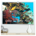 Leben im Roten Meer (hochwertiger Premium Wandkalender 2024 DIN A2 quer), Kunstdruck in Hochglanz