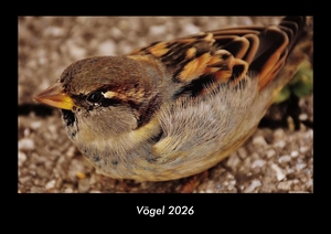 Kevin Heber / Tobias Schmitt. Vögel 2026 Fotokalender DIN A3 - Monatskalender mit Bild-Motiven von Haustieren, Bauernhof, wilden Tieren und Raubtieren. Vero Kalender, 2025.