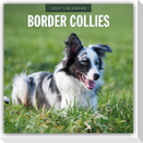 Border Collies - Border Collie 2027 - 16-Monatskalender