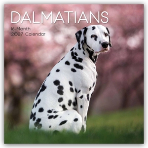 Gifted Stationery Co. Ltd. Dalmatians - Dalmatiner 2027 - 16-Monatskalender - Original Gifted Stationery-Kalender [Mehrsprachig] [Kalender]. Browntrout Verlags GmbH, 2026.