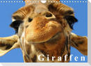 Giraffen / Geburtstagskalender (Wandkalender 2022 DIN A4 quer)
