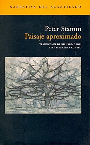 Stamm, Peter. Paisaje aproximado. , 2003.