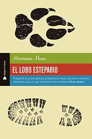 Hesse, Hermann. Lobo estepario. Ink It Digital on Behalf of Selector, 2020.