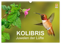 Kolibris - Juwelen der Lüfte (Wandkalender 2024 DIN A3 quer), CALVENDO Monatskalender