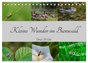 Kleine Wunder im Bienwald (Tischkalender 2024 DIN A5 quer), CALVENDO Monatskalender