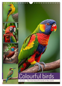 Colourful birds (Wall Calendar 2025 DIN A3 portrait), CALVENDO 12 Month Wall Calendar