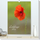 Lichtfänger (Premium, hochwertiger DIN A2 Wandkalender 2023, Kunstdruck in Hochglanz)