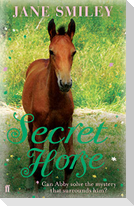 Secret Horse