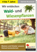 Wir entdecken Wald- und Wiesenpflanzen
