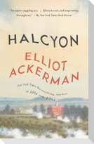 Halcyon