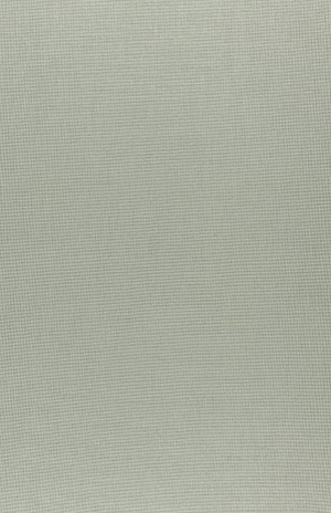 Adams, Henry. The Letters of Henry Adams, Volume IV: 1892-1899. Harvard University Press, 2026.