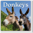 Donkeys - Esel 2027 - 16-Monatskalender