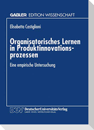 Organisatorisches Lernen in Produktinnovationsprozessen
