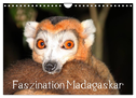 Faszination Madagaskar (Wandkalender 2024 DIN A4 quer), CALVENDO Monatskalender