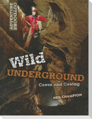 Wild Underground: Caves and Caving