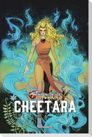 Thundercats Cheetara