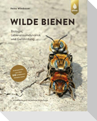 Wilde Bienen