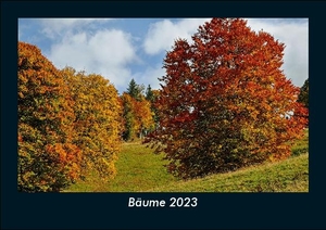 Tobias Becker. Bäume 2023 Fotokalender DIN A5 - Monatskalender mit Bild-Motiven aus Orten und Städten, Ländern und Kontinenten. Vero Kalender, 2022.