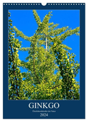 Ginkgo (Wandkalender 2024 DIN A3 hoch), CALVENDO Monatskalender