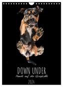 Down Under - Hunde auf der Glasplatte (Wandkalender 2024 DIN A4 hoch), CALVENDO Monatskalender
