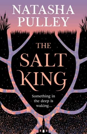 Pulley, Natasha. The Salt King - An end of the world thriller, packed with dazzling wit and romance. Orion Publishing Co, 2026.