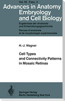 Cell Types and Connectivity Patterns in Mosaic Retinas