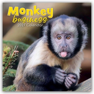 Gifted, The. Monkey Business 2027 - 16-Monatskalender - Original The Gifted Stationery Co. Ltd [Mehrsprachig] [Kalender]. Browntrout Verlags GmbH, 2026.