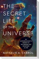 The Secret Life of the Universe