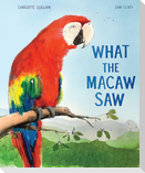 What the Macaw Saw