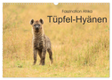 Faszination Afrika: Tüpfel-Hyänen (Wandkalender 2024 DIN A3 quer), CALVENDO Monatskalender