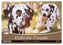 Gefleckte Freunde - Hunderasse Dalmatiner (Tischkalender 2025 DIN A5 quer), CALVENDO Monatskalender