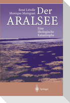 Der Aralsee