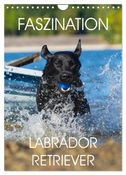 Faszination Labrador Retriever (Wandkalender 2025 DIN A4 hoch), CALVENDO Monatskalender