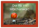 Der Pilz im Märchenwald (Wandkalender 2024 DIN A3 quer), CALVENDO Monatskalender