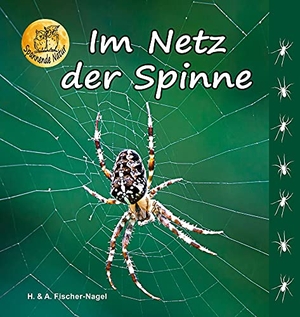 Fischer-Nagel, Heiderose / Andreas Fischer-Nagel. Im Netz der Spinne. Fischer-Nagel, Heiderose, 2017.