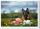 Deutsche Schäferhunde Seelentröster (Wandkalender 2025 DIN A4 quer), CALVENDO Monatskalender