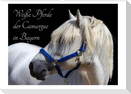 Weiße Pferde der Camargue in Bayern (Wandkalender 2023 DIN A2 quer)
