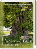 Faszinierende Bäume in Niederbayern