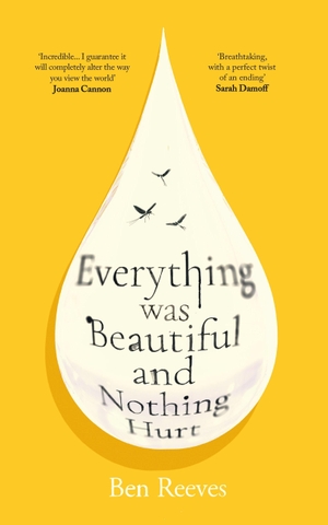 Reeves, Ben. Everything was Beautiful and Nothing Hurt - 'Incredible... I guarantee it will completely alter the way you view the world' Joanna Cannon. Atlantic Publishing Group, 2026.