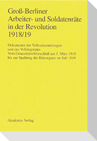 Vom Generalstreikbeschluß am 3. März 1919 bis zur Spaltung der Räteorgane im Juli 1919