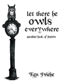 Let There Be Owls Everywhere