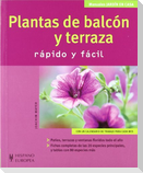 Plantas de balcón y terraza