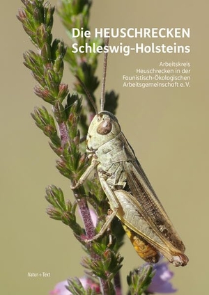 Winkler, Christian / Voß, Klaus et al. Die Heuschrecken Schleswig-Holsteins. Natur & Text, 2026.