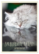 Zauberhafte Katzen - Familienplaner (Wandkalender 2024 DIN A3 hoch), CALVENDO Monatskalender